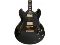 Larry Carlton H7 BK Larry Carlton H7 BK